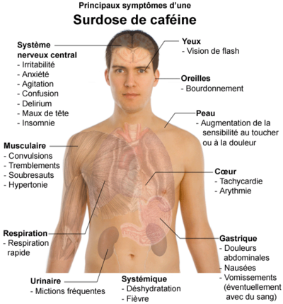 400px-principaux-symptomes-d-une-surdose-de-cafeine.png